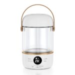 110V220V Smart Electric Stew Cooker Personal Portable Electric Stew Pot - Image 10