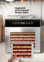 Household Stainless Steel Fruit Dryer For Meat Food Dehydration - Image 3
